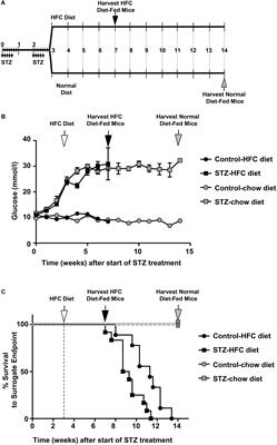 Hyperglycemia Aggravates Diet-Induced Coronary Artery Disease and Myocardial Infarction in SR-B1-Knockout/ApoE-Hypomorphic Mice